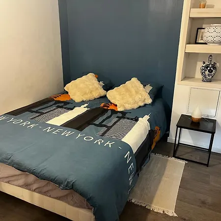 Apartment Amenage Au Sous-sol Avec Coin Jardin Au Centre D *